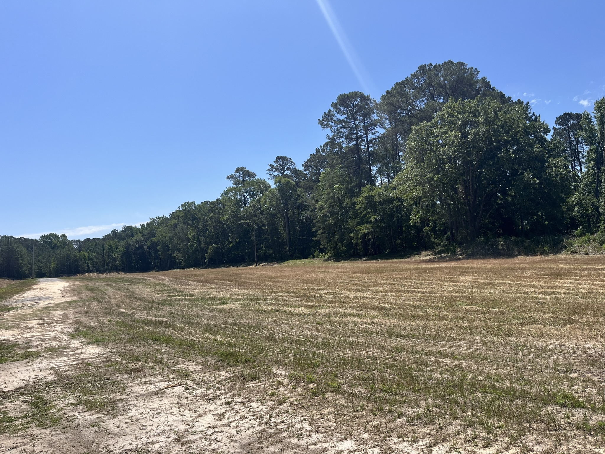 Cleared field and dirt path bordered by a thick forest.