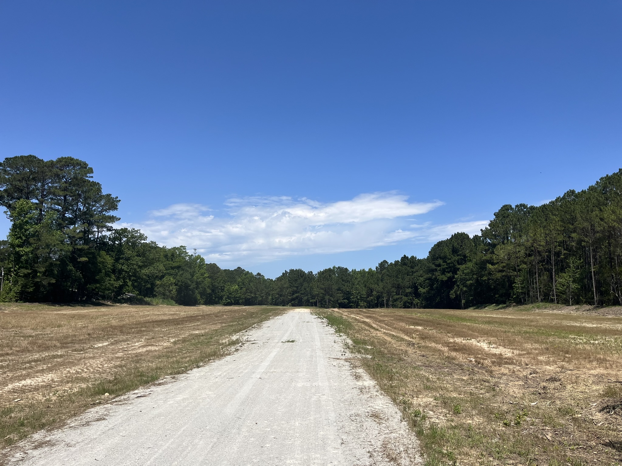Long gravel road stretching through a cleared field.