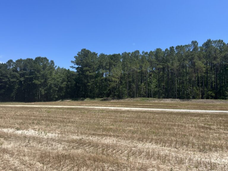 brush cutting B after 1 brush cutting B after 1
