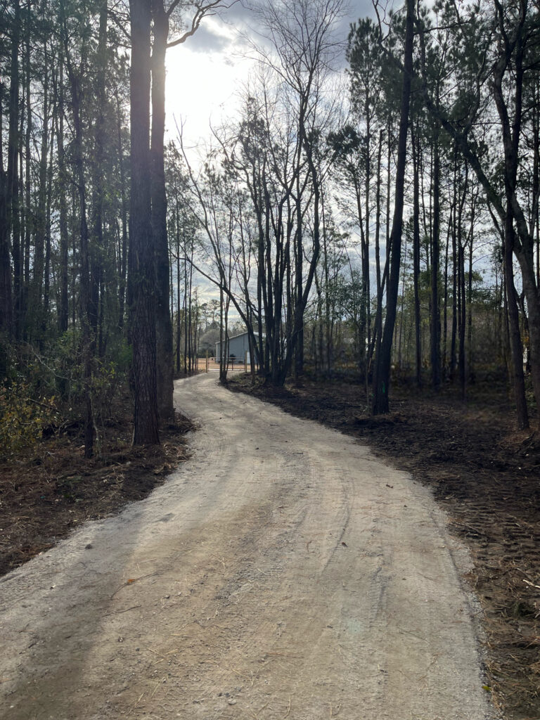 clearing_driveway after 1 Clearing driveway after 1