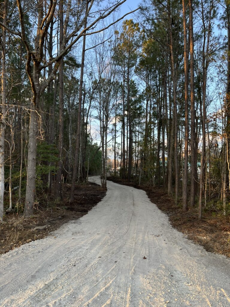 clearing_driveway after 2 Clearing driveway after 2