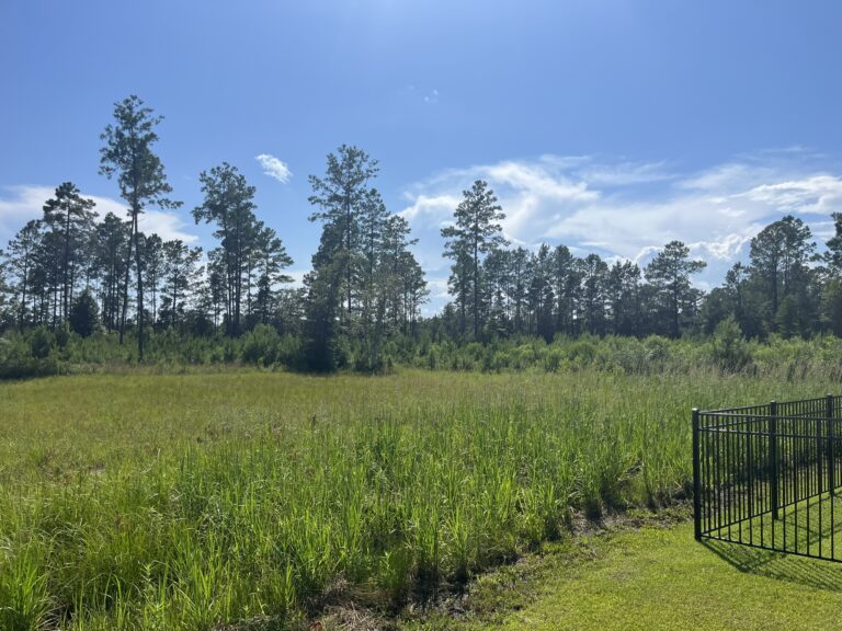 clearing_tilling_grading_sod prep before 1 Clearing Tilling Grading